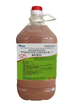 بروبيوتيك تربية الأحياء المائية ، مضافات علف الحيوانات Lactoعصية Plantarum العصوية الرقيقة التي تنظم جودة المياه الطحالب P